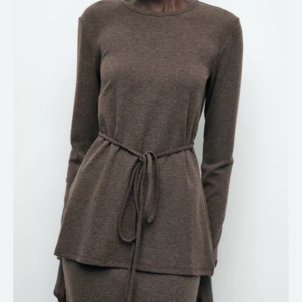 Zara Brown Crew Neck Sweater Size M - Picture 2 of 4